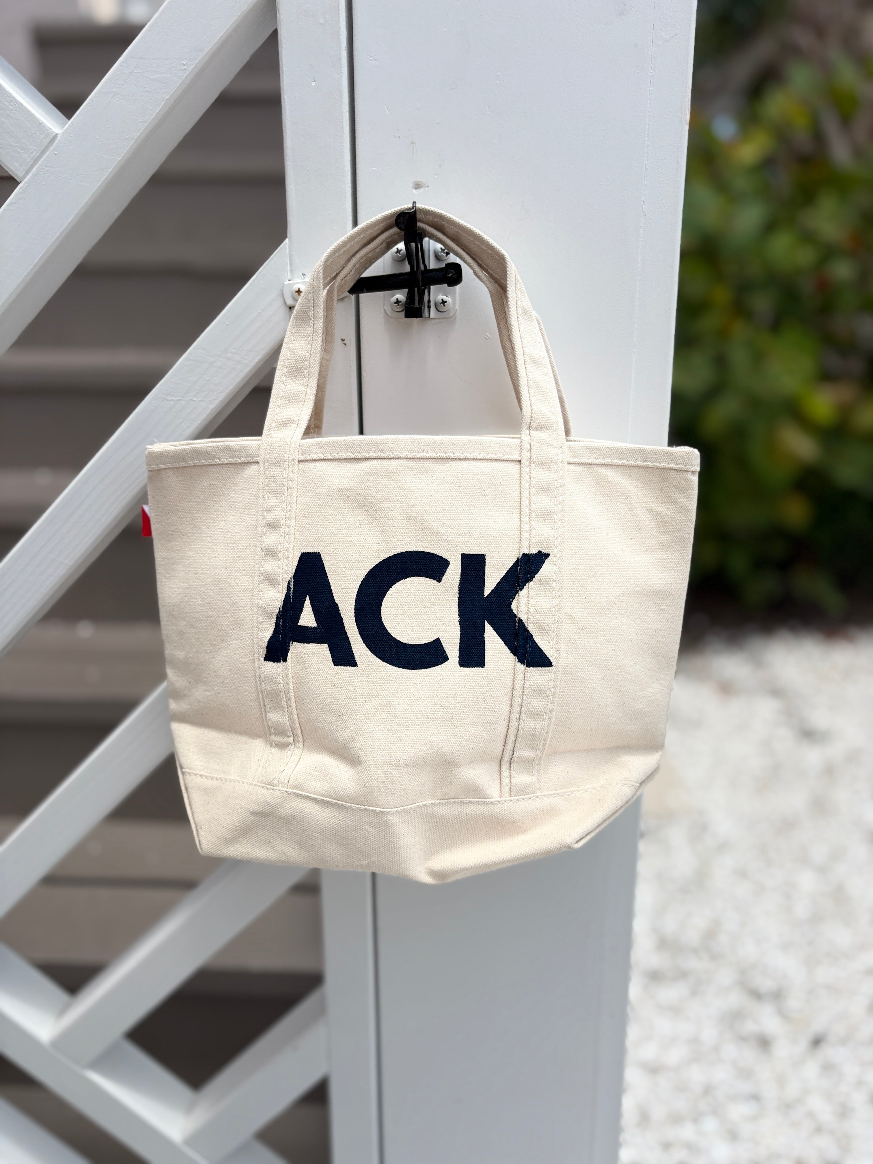 Nantucket Hydrangea ACK Mini-Tote Hand-Painted