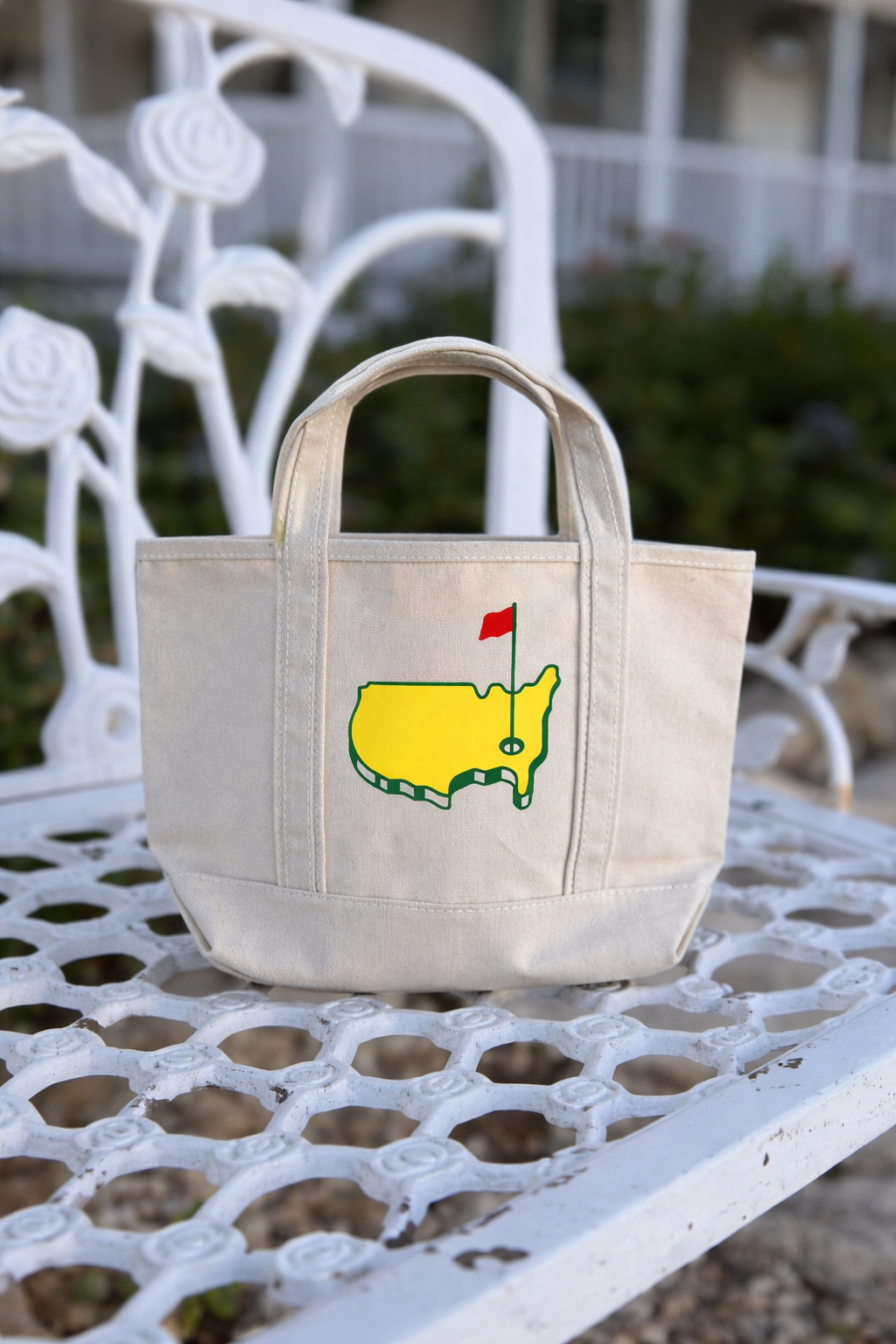 ⛳️ mini hand-painted tote