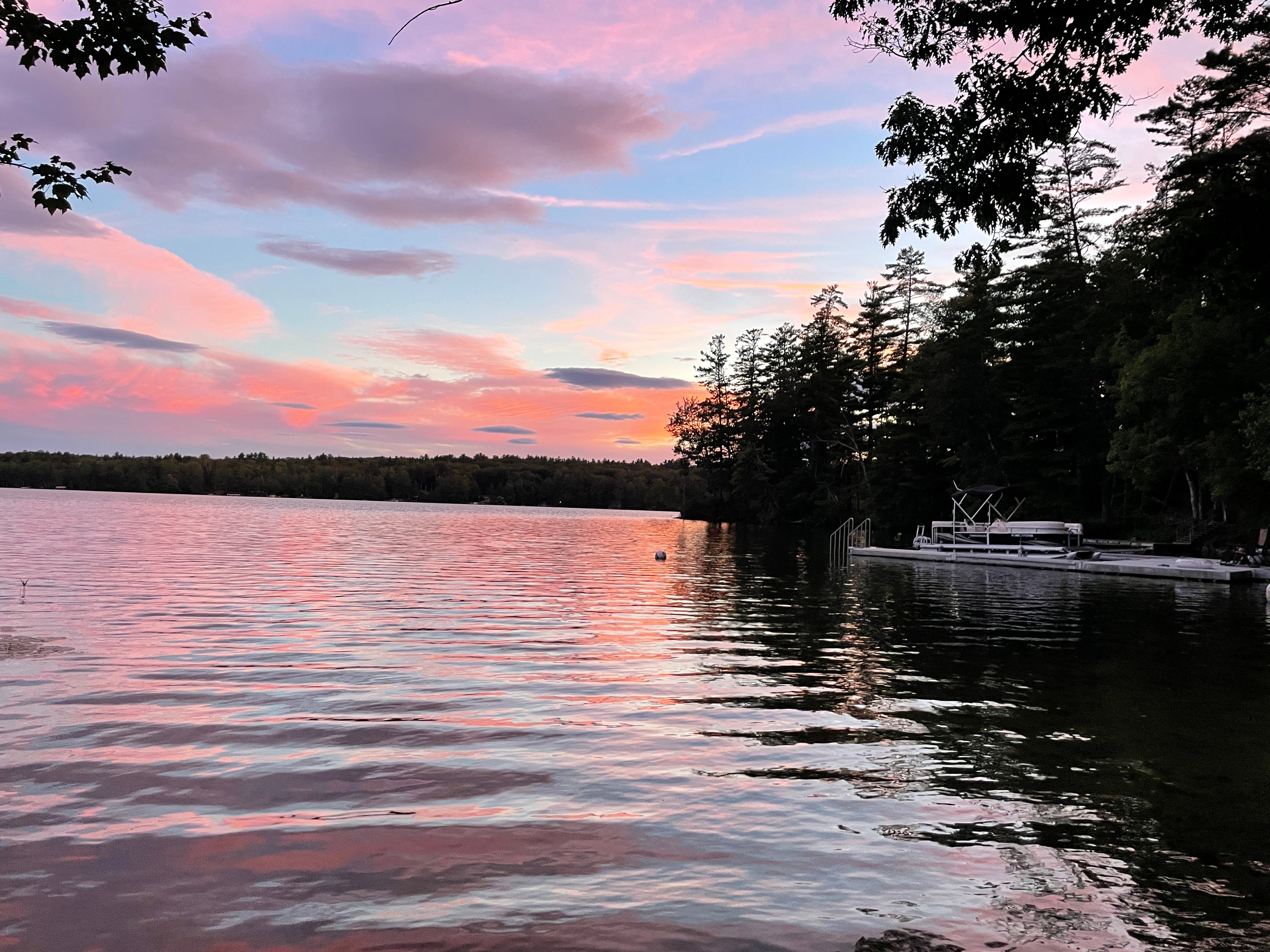 Maine Loon Medium Tote