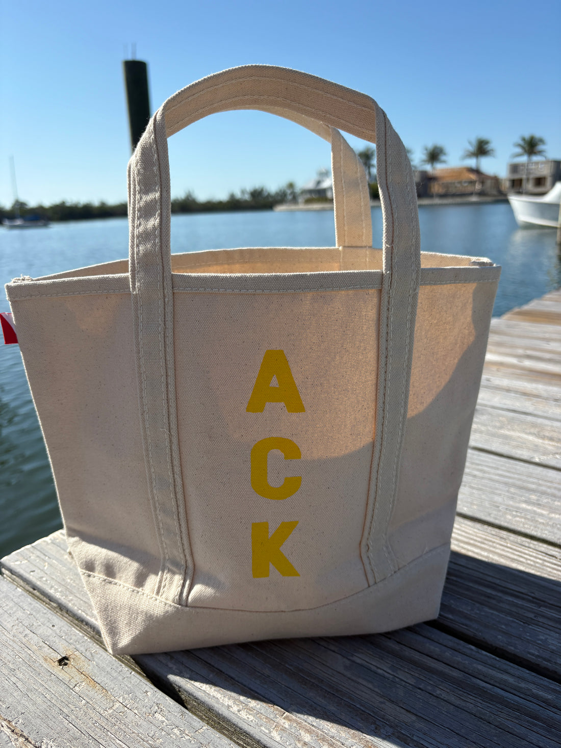 Nantucket Daffy 50 mini tote