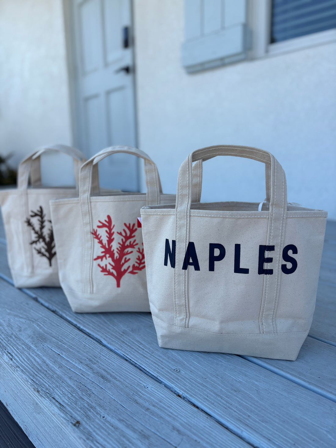 Naples Coral Mini Tote
