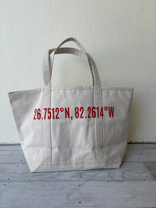 Orange BG Coordinates Tote