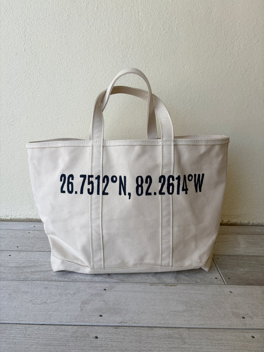 Navy BG Coordinates Tote