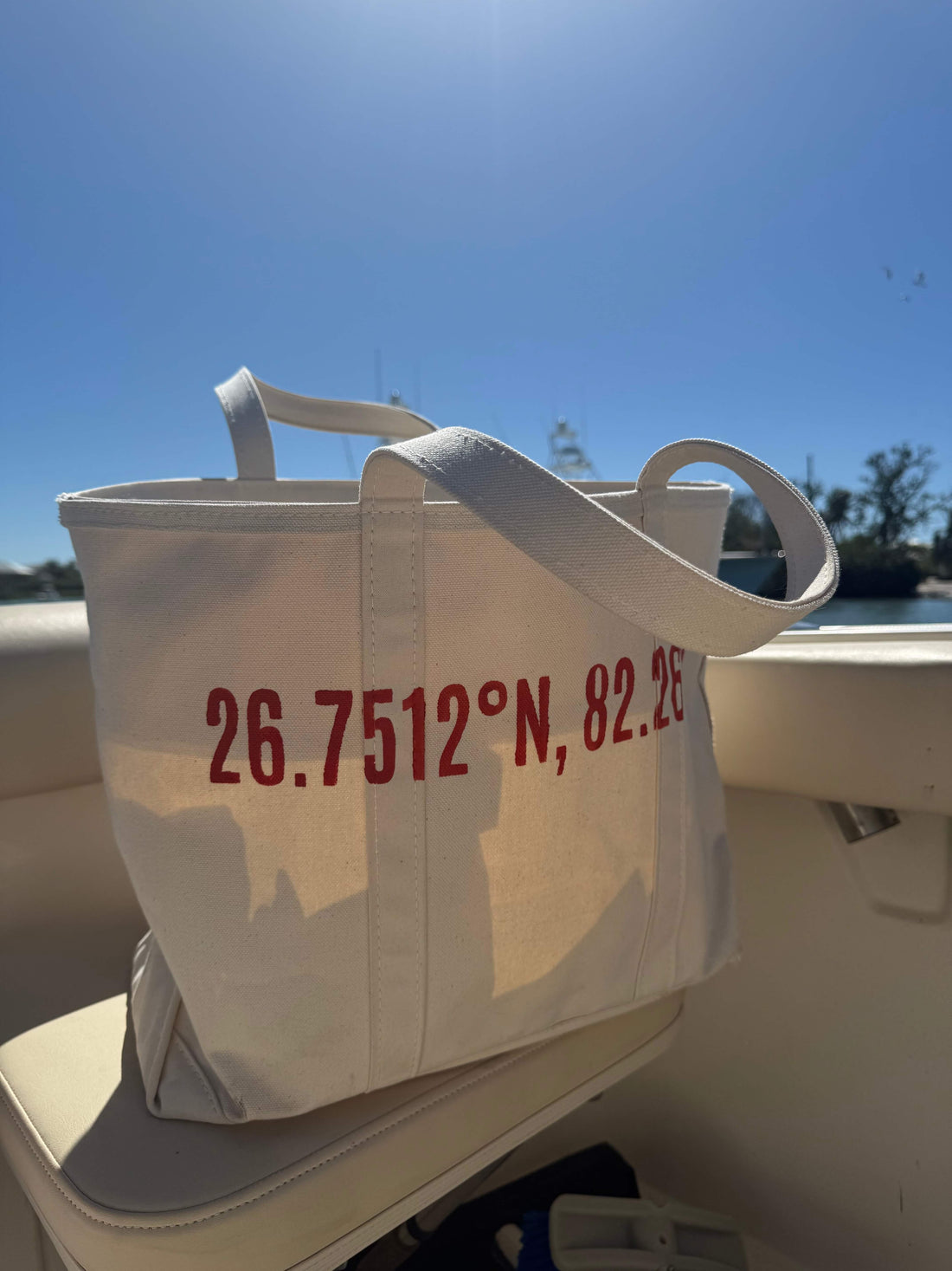 Boca Grande Coordinates Large Tote in Florida Orange