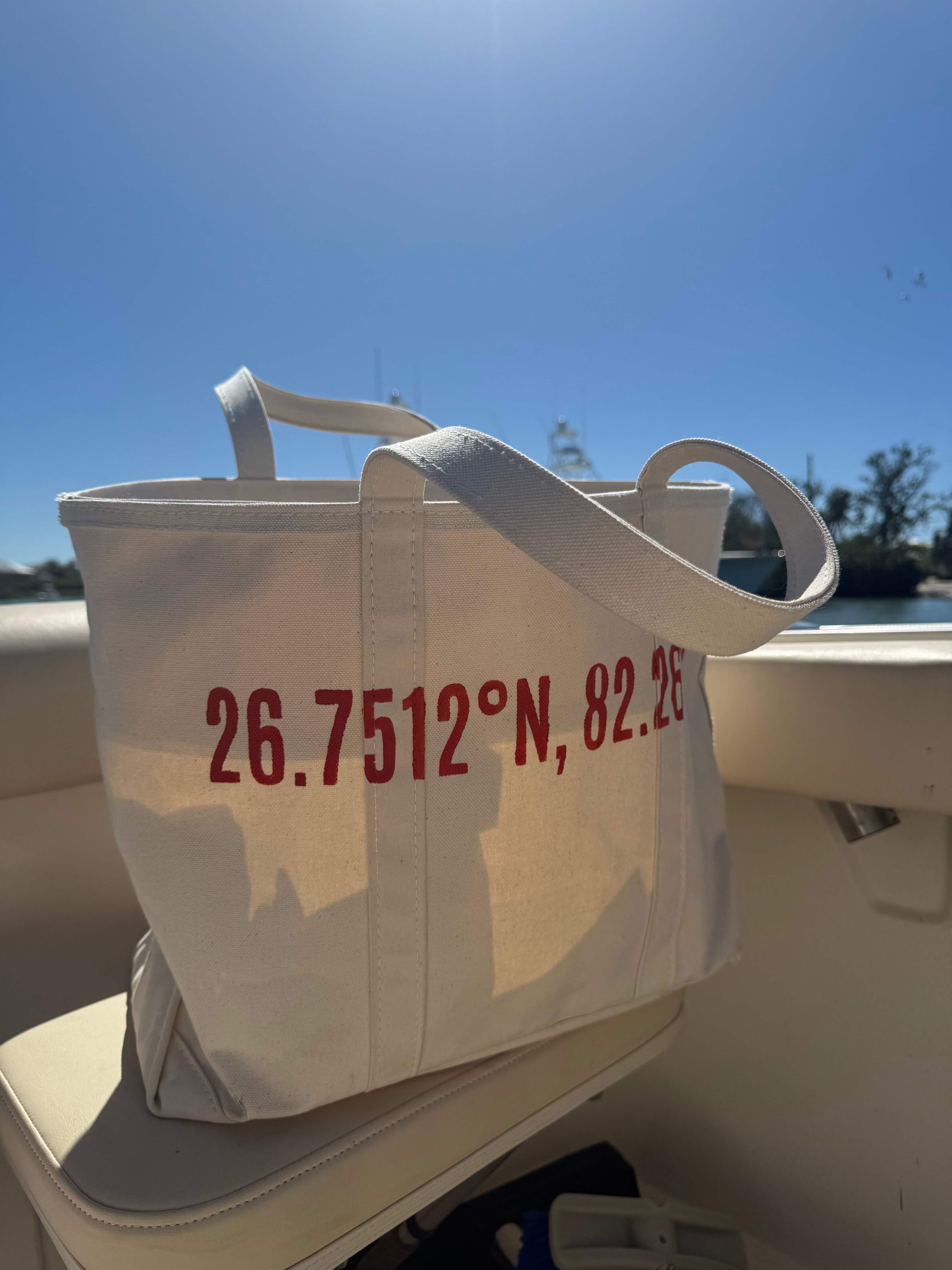 Boca Grande Coordinates Large Tote in Florida Orange