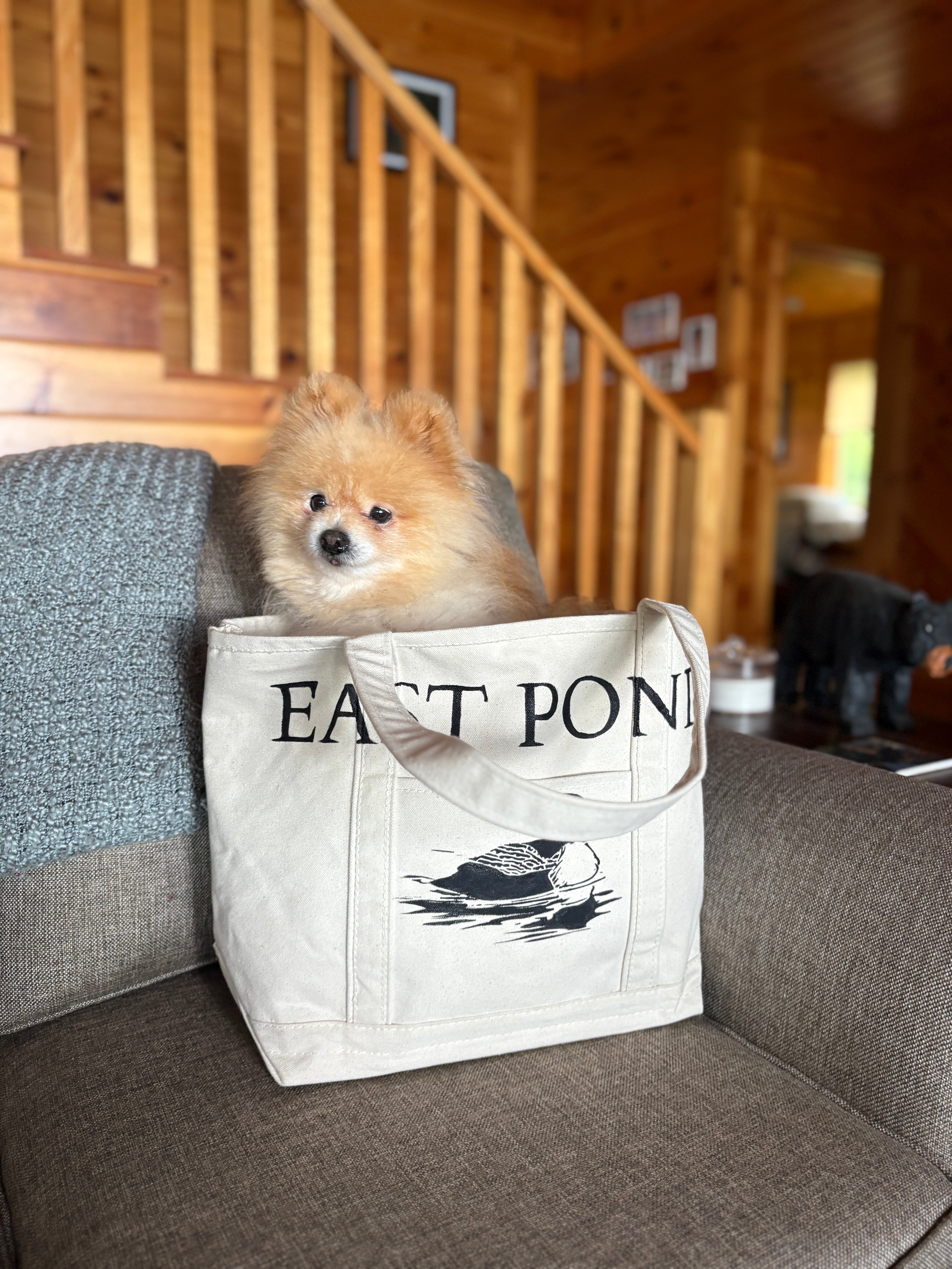 Maine Loon Medium Tote