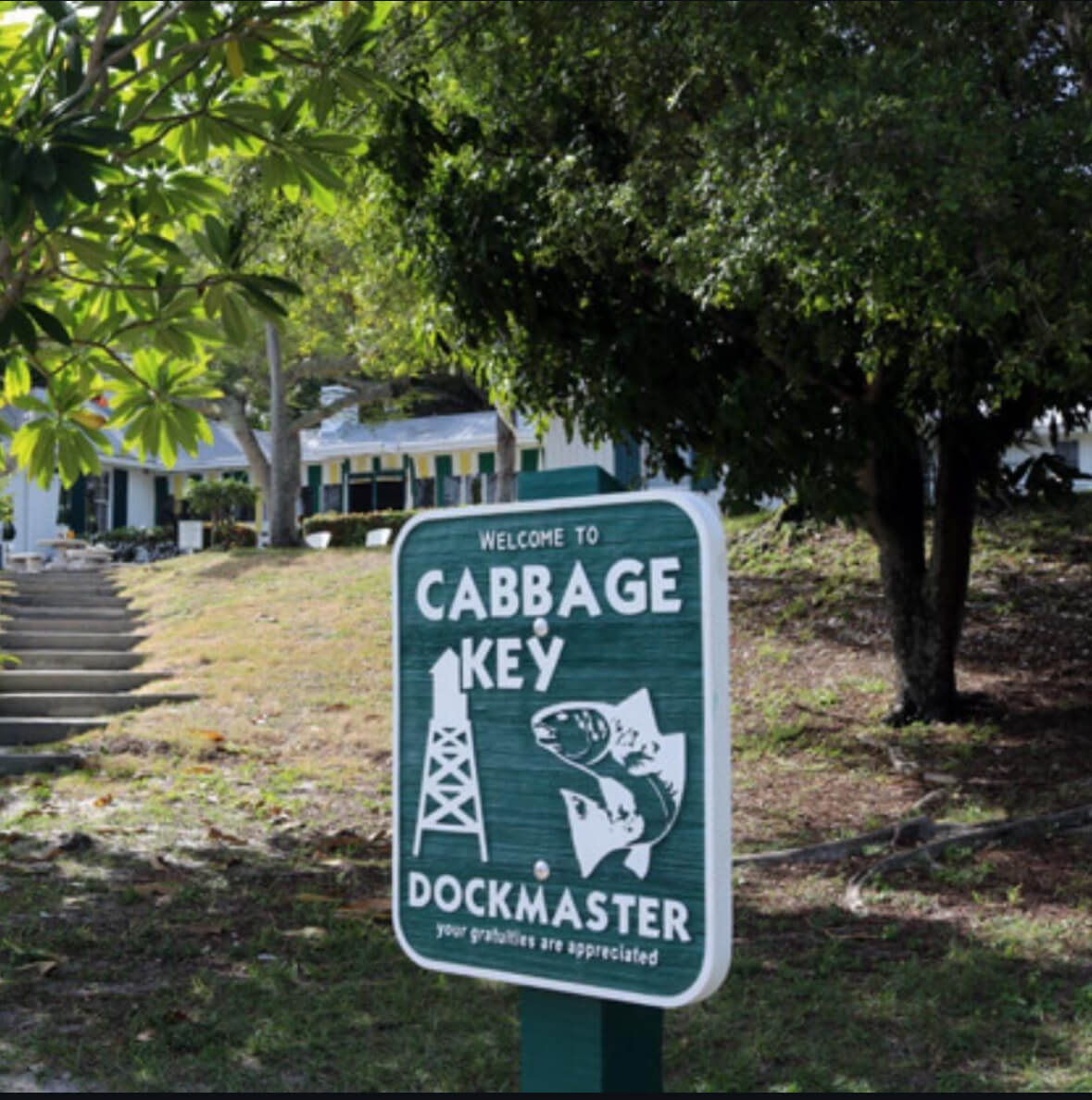 Cabbage Key Palm Leaf Tote