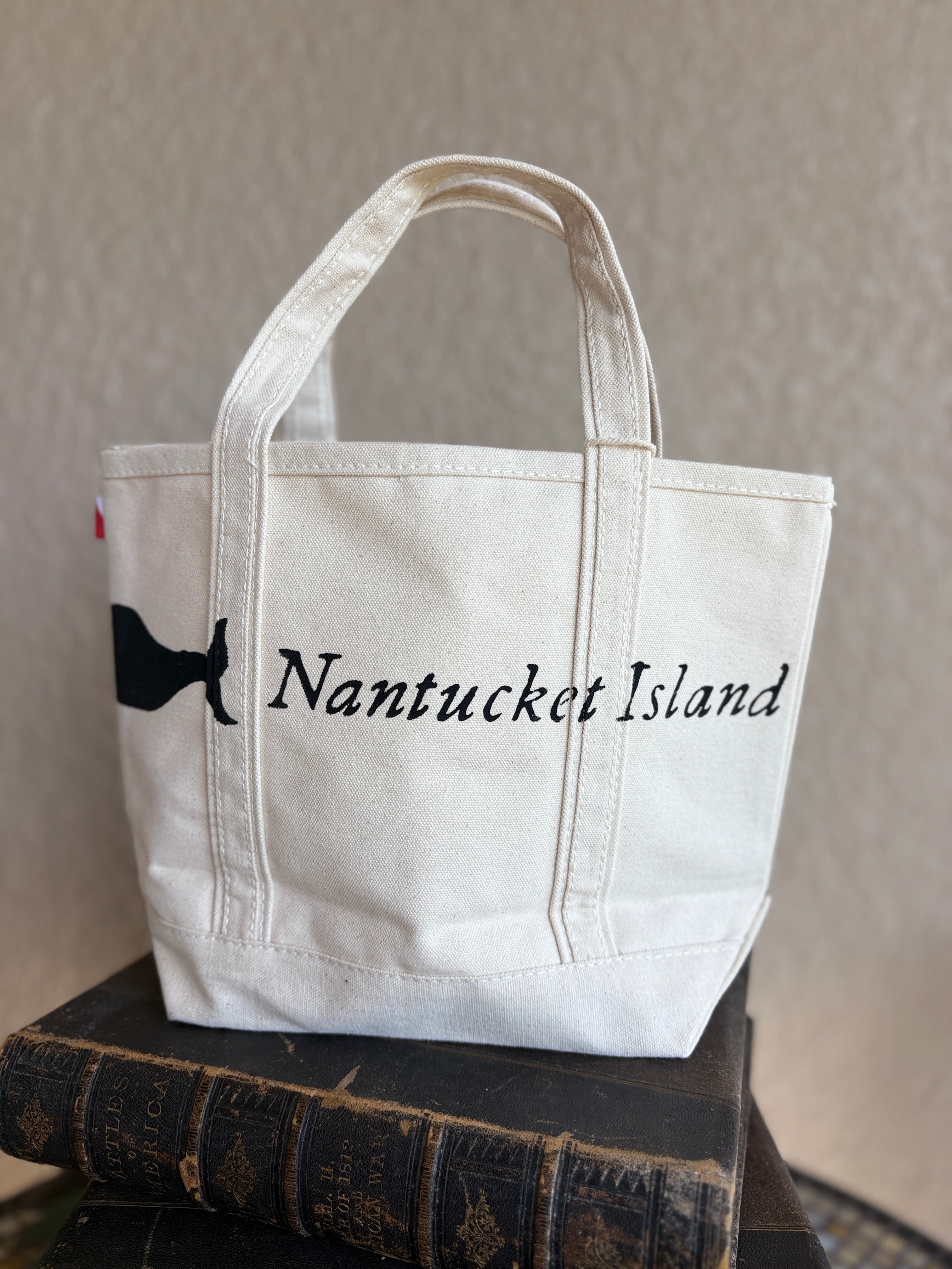 Fairgrounds mini tote