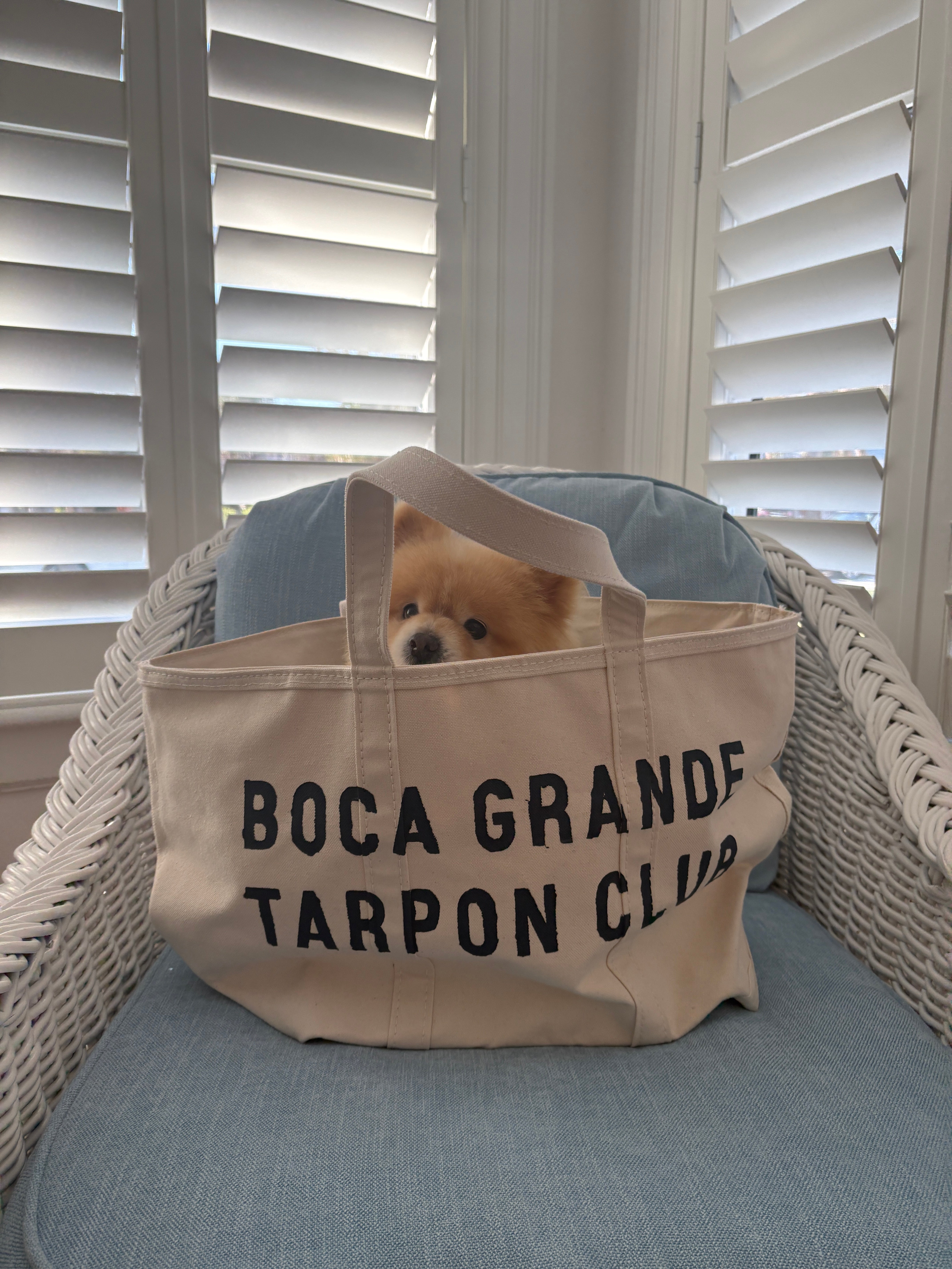The Original Boca Grande Tarpon Club Tote