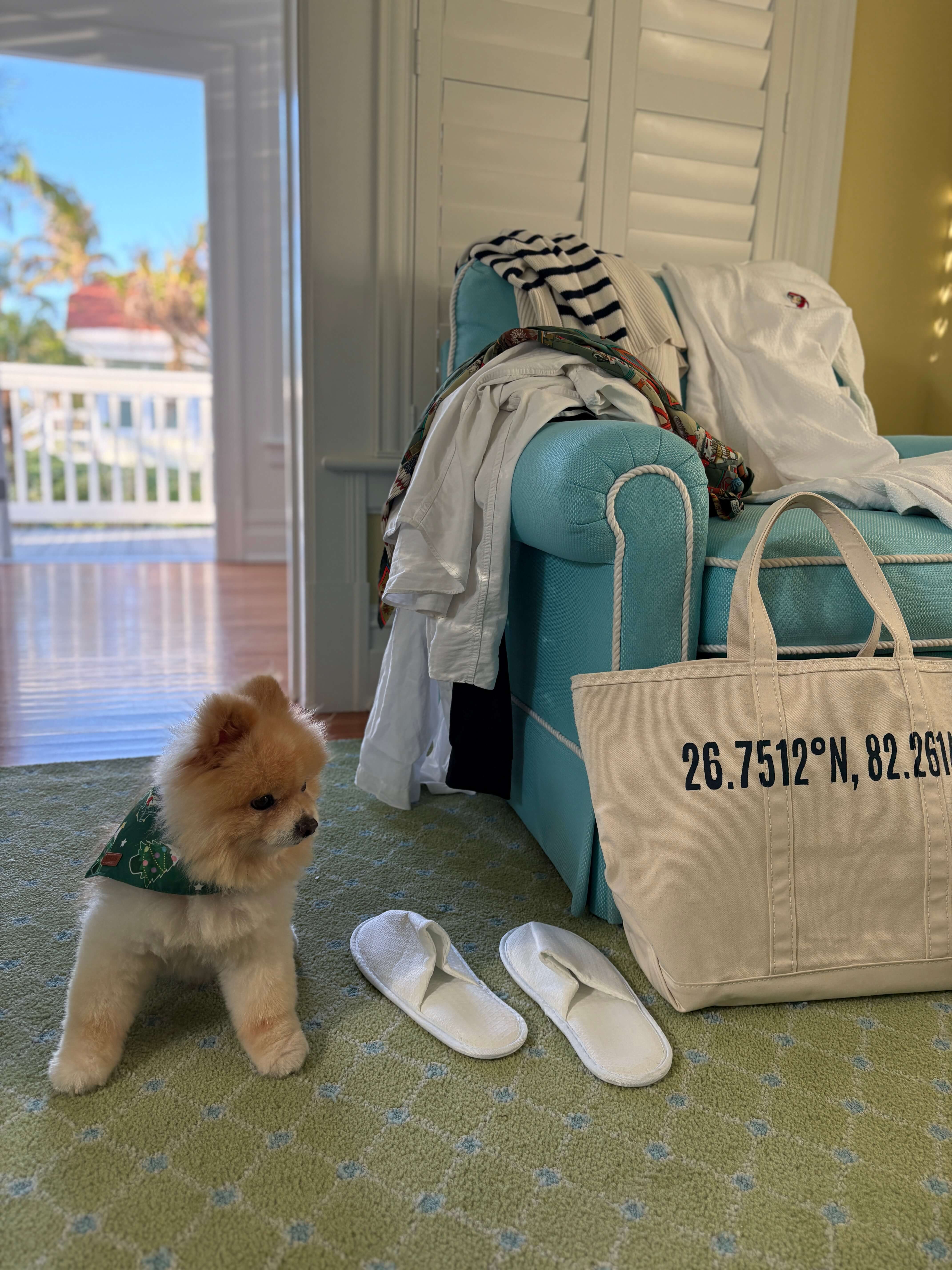 Boca Grande Coordinates Large Tote in Nautical Navy