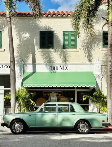 LBS Designs hand painted custom Palm Beach canvas tote for The Nix
