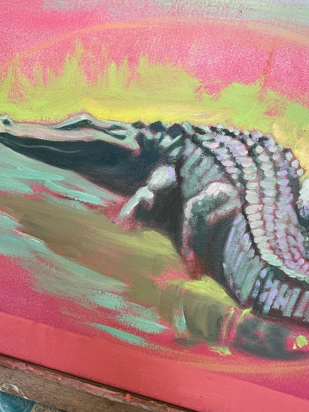 The alligator, painted up close