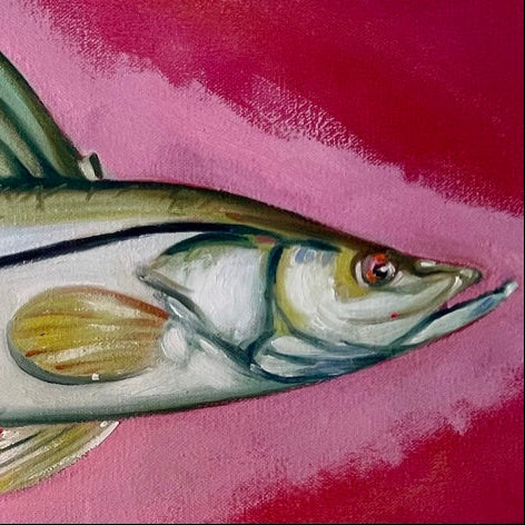 The snook, painted up close